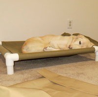 PVC cots for dogs