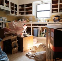 Unpacking kitchen and painting prep