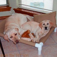 PVC Dog Cot Tutorial
