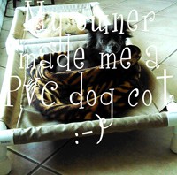PVC dog cots - The DIY Girl